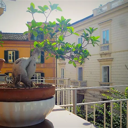 Angelina - Centro Sorrento